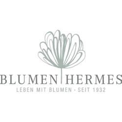 hermes st tö is|Florist's: Blumen Hermes Inh. Andrea Hermes nearby St. Tönis in .